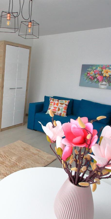 Apartament Delora View Bumbesti-Jiu Zewnętrze zdjęcie